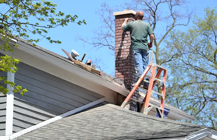 Chimney & Fireplace Inspections Services in Waynesboro, VA
